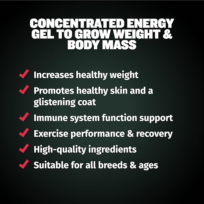 Bully Max Liquid Weight Gainer for Dogs – High Calorie Dog Supplement with Omega-3 & Whey Protein – 2-in-1 Multivitamin for Healthy Weight Gain – for Puppies & Adult Dogs – 16 oz
