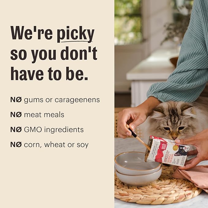 The Honest Kitchen Câté™ Grain Free Turkey Pâté Wet Cat Food, 2.8 oz x12