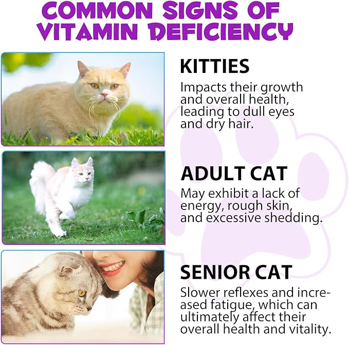 Cat Multivitamin Drops - 15 in 1 Vitamin Supplement for Immune Support, Heart, Bones, Joint, Skin & Coat Health, Bacon Flavor Vitamins for Senior Cats & Kittens (1 Pack, for cat)