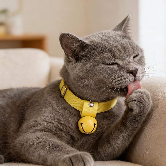 EXPAWLORER Pet Bells for Dog Cat Collar Charm - 2 Pack Cat Collar Accessories Bells Loud, Pet Jingle Ornament Training Pendant Neck Decoration, Tracker for Saving Birds, Yellow & Blue