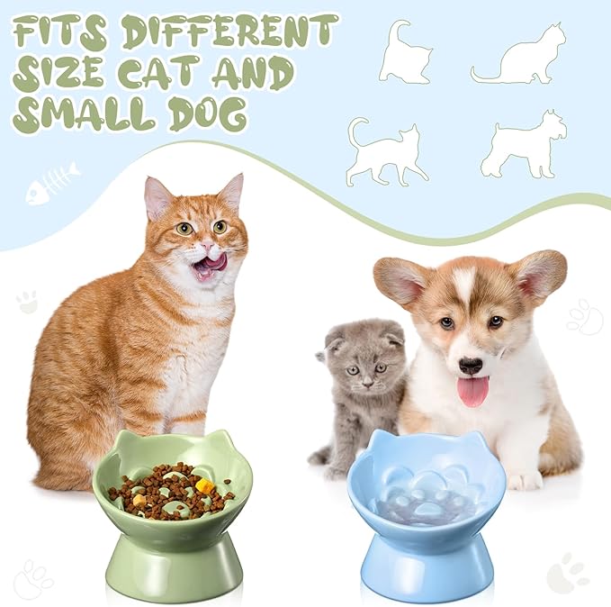 2 Pcs Ceramic Elevated Slow Feeder Cat Bowl Cute Tilted Anti Vomiting Raised Cat Bowl for Dry Wet Food and Water Easy to Clean High Edge Pet for Small Dogs(Green, Blue)