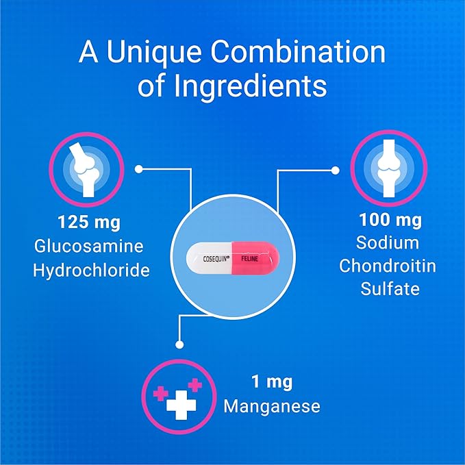 Nutramax Cosequin for Cats Joint Health Supplement, Contains Glucosamine for Cats, Plus Chondroitin, and Omega-3s, Supports Joint and Skin and Coat Health, Sprinkle Capsules, 80 Count