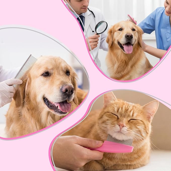6 Pcs Pets Grooming Comb Kit Tear Stain Remover Comb Dog Face Combs for Eye Cleaning Gentle Grooming Tool Dematting Tool for Cats Dogs Remove Knots Stains Crust Mucus