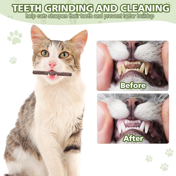 WOUSEDO 6 Pack Silvervine Sticks Cat Toy, Natural Chew Stick for Dental Care Teeth Cleaning,Matatabi Cat nip Treat Toys for Indoor Cats& Kittens