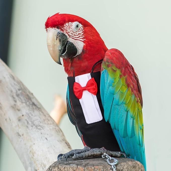 HANABASS Parrot Diaper Flight Suit Lightweight Breathable Washable Reusable Bird Diapers with Bowknot Design Pet Bird Clothes for Cockatiels Conures Budgies Small Birds
