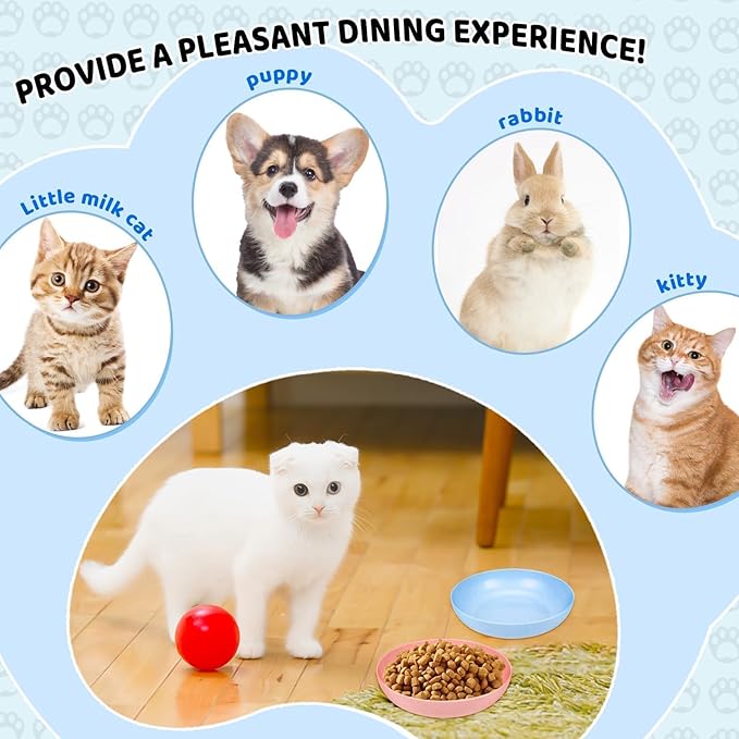 TKOnline 10 Pcs Cat Food Bowl, 5.6 Inch Plastic Shallow Pet Food and Water Dish for Relief Whisker Fatigue, Wide Cat Wet Feeding Bowls, Small Flat Dish for Indoor Outdoor Kittens Dogs
