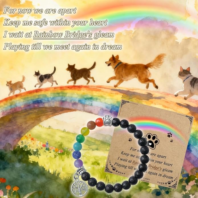 Pet Memorial Gifts, Sympathy Gift for Loss of Dogs and Cats, Chakra Rainbow Bridge Bracelet for Women Men Who Lost Pets