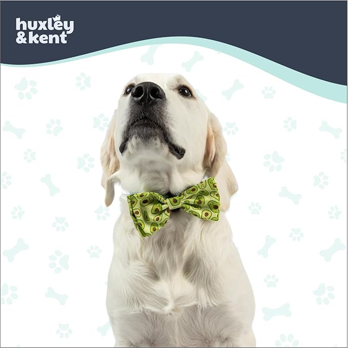 Huxley & Kent Pet Bow Tie for Dogs & Cats - Adjustable Hook & Loop Collar Accessory - Cute & Comfortable for Holidays & Celebrations - Happy Avocados, Large