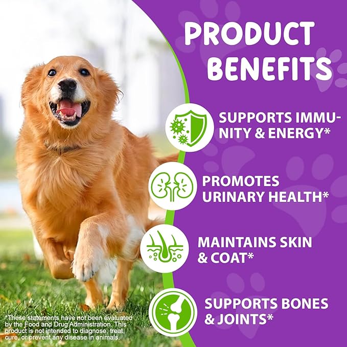 Dog Multivitamin Drops, 15 in 1 Multivitamin Liquid - Dog Vitamins with Glucosamine & Cranberry, Supports Joint, Digestion, Skin & Coat Health, Dog Supplement for Dogs of All Ages, Bacon Flavor, 60 ml