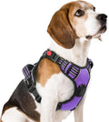 rabbitgoo Dog Harness Medium Sized, No Pull Pet Harness with 3 Buckles, Adjustable Soft Padded Vest with Control Handle, Walking Reflective Pet Vest for Medium Dogs, Purple, M