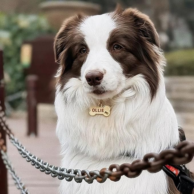 Dogs ID Tags Personalized Front and Back Engraving Brass Bone Shape Large..