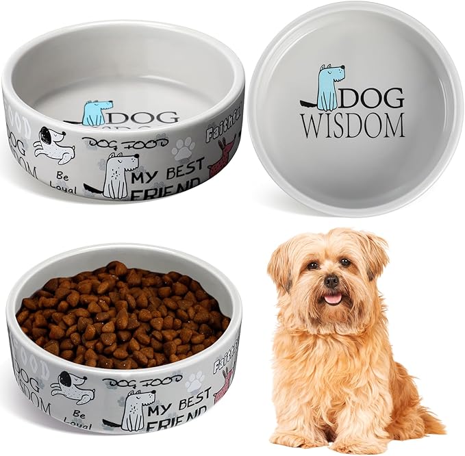 Maxcheck 2 Pcs 5 Inch Ceramic Dog Bowls Dishes for Small Dogs Cute Cartoon Pattern Puppy Cat Bowls Heavy Food Water Dishes for Pets Feeding Travel, Dishwasher Safe Microwave Safe (Gray)