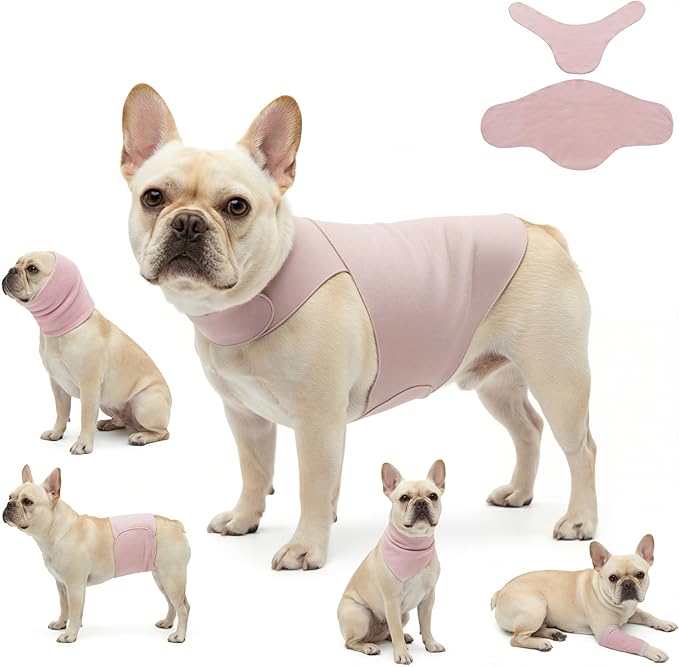 DAJIDALI® Dog & Cat Anxiety Vest & Spay Recovery Suit – Silent Calming Wrap for Surgery, Thunderstorms – Breathable Cone Alternative