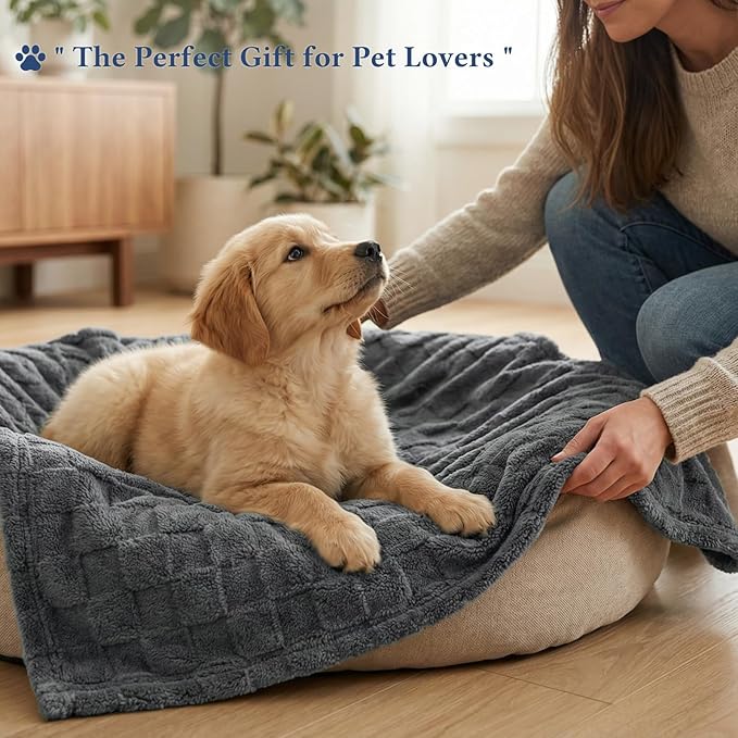 David's Home Large Dog Blankets Washable Pet Bed Cover, Soft Fluffy Fuzzy Cat Puppy Blanket with Premium 300GSM Fleece for Pet Kitten Doggy, Dark Grey, 50x60IN