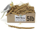 A&E Cage Co AE9055 Premium French Millet Spray - 5lb Bulk Box Natural Spray Millet for Birds - Healthy Bird Treat for Parakeets, Budgies, Cockatiels, Finches & Small Birds