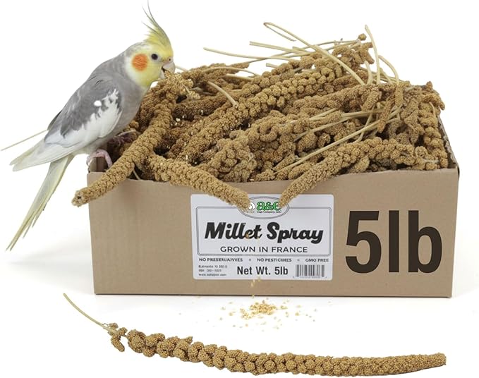 A&E Cage Co AE9055 Premium French Millet Spray - 5lb Bulk Box Natural Spray Millet for Birds - Healthy Bird Treat for Parakeets, Budgies, Cockatiels, Finches & Small Birds