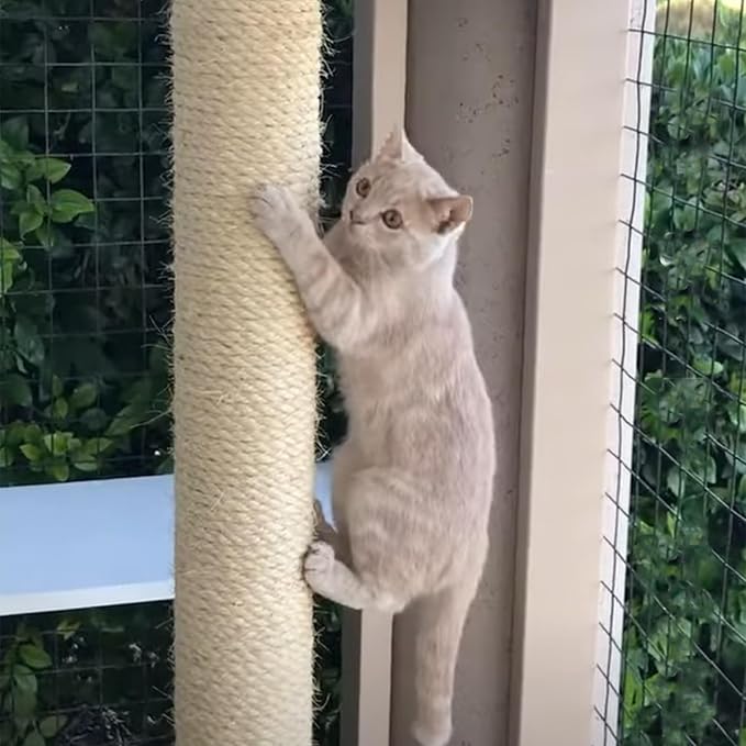 164 Feet Sisal Rope for Cat Tree & Scratching Post Replacement, 1/4 Inch Scratcher Rope to Refresh Cat Furniture, Durable Cat Scratching Rope