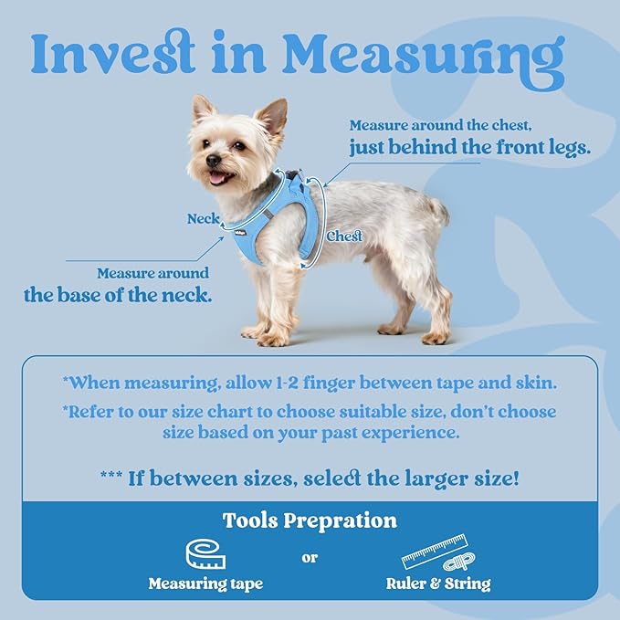 rabbitgoo Small Dog Harness, Step-in Soft Mesh Puppy Vest with Safety Buckle, Breathable Reflective Pet Harness for Small Sized Dogs, Blue M