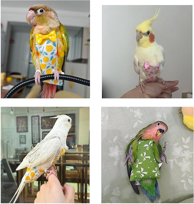 Bird Diaper Flight Suit, 3-Packs Lightweight Reusable Washable Elastic-Straps Parrot Clothes for Peony/Monk Parakeet, Prevents Poop Leaks & Feather Pecking (Bow+Lemon+Cherry, S)
