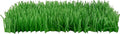 Instincts by SmartyKat 2-Pack Meadow Mayhem Hide & Seek Paper Grass Rustle Cat Mat Toy - Green, 2-Pack