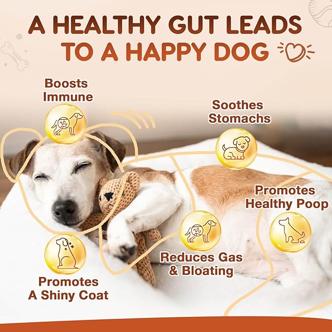 ZEBORA Probiotics for Dogs, Dog Probiotics, for Digestive Health, Plus Pumpkin and Fish Oil, for Gut & Itchy, 180 Soft Chews