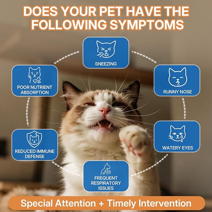 L-lysine Supplement for Cats, Immune Support for Cats, Support for Feline Respiratory, Sneezing, Runny Nose, Eye Function, Helps Strengthen Natural Defenses, Chicken Flavor (1PC)