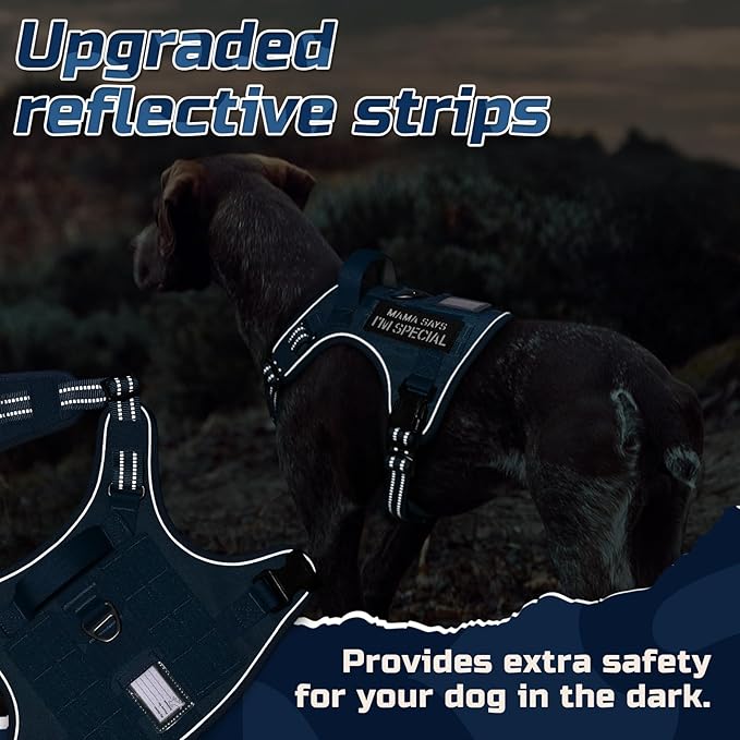 rabbitgoo Tactical Dog Harness for Large Dogs, No Pull Military Service Vest with Handle & Molle, Easy Control for Training Walking, Adjustable Reflective Straps, Blue, L