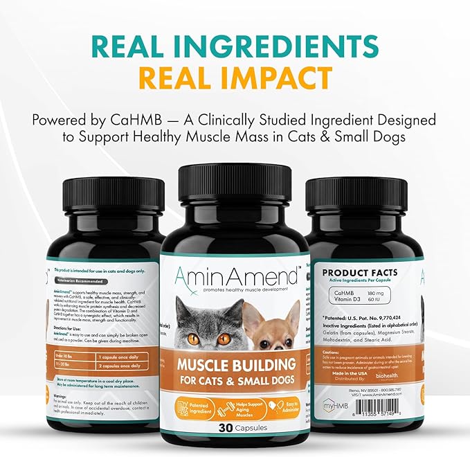 Muscle Support Pet Supplement for Small Dogs & Cats with CaHMB & Vitamin D3 – All Ages & Senior Dog Supplements for Muscle Strength, Mobility & Daily Activity – (30 Capsules)