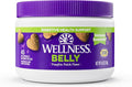 Wellness Pumpkin Patch Flavored Soft Chew Digestive Health Supplements for Dogs, 45 Count