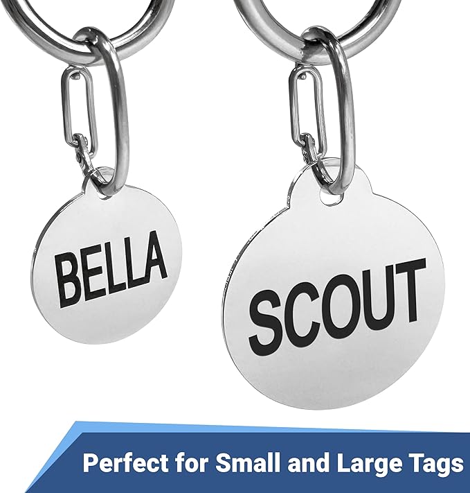 GoTags Pet ID Dog Tag Clip, Strong Durable Dog and Cat Tag Connector, Quick Clip to Pet Collars, Easy Upgrade for Split Ring, Mini Carabiner Made of Stainless Steel, Pack of 2