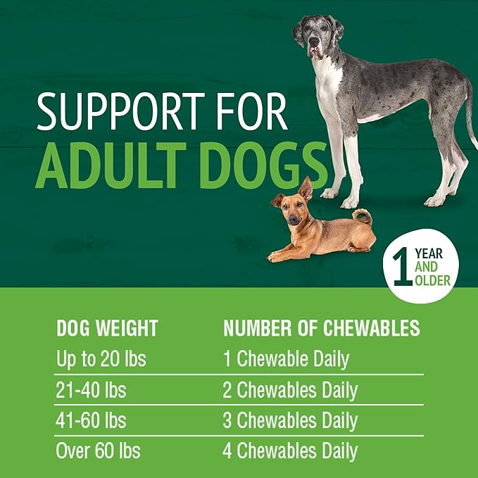 Petnc Adult Multi Chewables (75 Count), Daily Dog MultiVitamin & Multimineral Support, Includes Zinc, Magnesium & More, Supports Overall Health, For Dogs 1+ Year, Liver Flavor