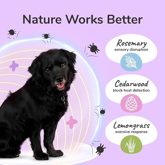 kin+kind Plant Based Flea and Tick Spray for Dogs and Cats – Essential Oil Formula with Lemongrass – Flea and Tick Prevention for Cats, Kittens, Puppies & Dogs - Pet Supplies - Family Safe – 12 fl oz
