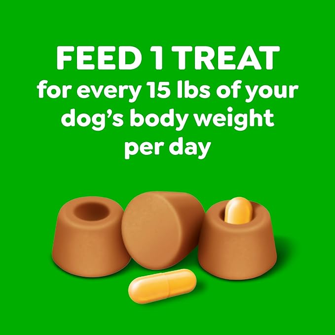 Greenies Pill Pockets for Dogs Large Size, Dog Treat Pouch for Capsule Medication, Peanut Butter Flavor, 15.8 oz. Pouch