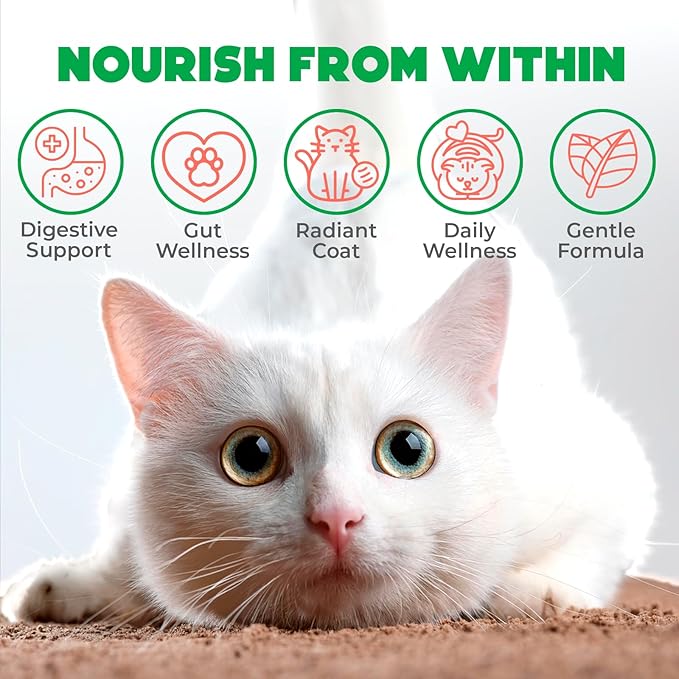 Probiotics for Cats Chews 500PCs - Digestive, Gut Health & Diarrhea Support - Probiotic Chews for Feline - Crunchy & Creamy with Cat Probiotics, Enzymes & Natural Ingredients - Salmon