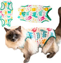 Cat Recovery Suit Surgical Onesie - Post Surgery - Soft Breathable Fabric - No-Cord Design - Protects Wounds and Skin After Spay or Neuter - Male and Female Cats | X-Large