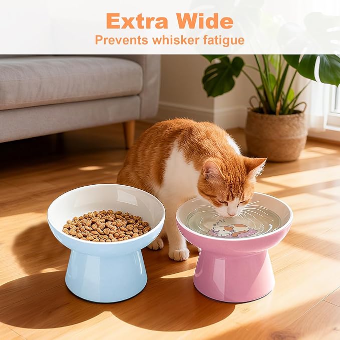 Elevated Cat Food Bowls 2 Pack,Ceramic Raised Cat Bowls with Non-Slip Base,Whisker Friendly Shallow Design for Dry & Wet Food,Anti-Vomiting Cat Feeder,Dishwasher & Microwave Safe (Pink&Blue)