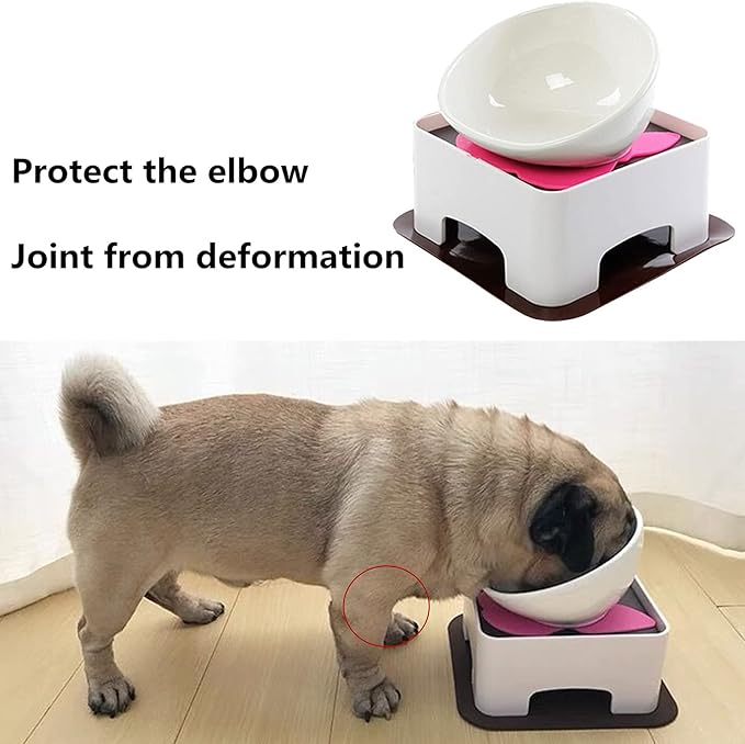 Bulldog Bowl Anti-Slip Dog Cat Dish Detachable Dog Bowls Pet Sterile Tilted Pet Feeder Slope Base (White,Ceramic-1.5 Cup