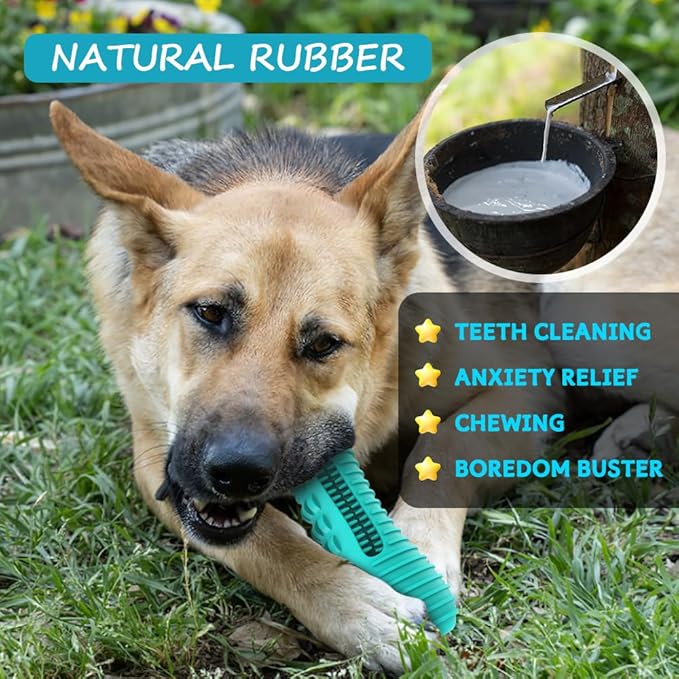 Dog Toys for Aggressive Chewers Large Medium Breed, Indestructible Dog Chew Toys, Squeaky Interactive Tough Extremely Durable, Dogs Toothbrush Toys to Keep Them Busy