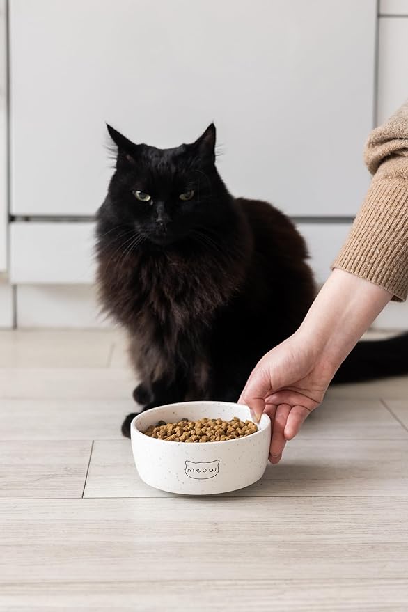 Pearhead Ceramic Meow Cat Bowl, Holds 12 oz, Whisker-Friendly Pet Dish for Food and Water, Modern Speckled White