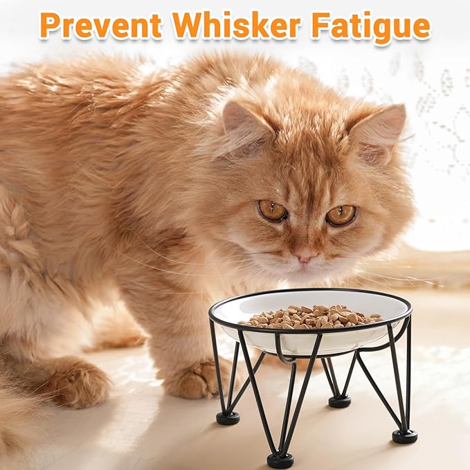 Elevated Ceramic Cat Bowls – Whisker-Friendly & Anti-Vomiting, Non-Slip Raised Cat Food Dishes – Stylish, Safe & Hygienic Feeding Set (2-Pack)