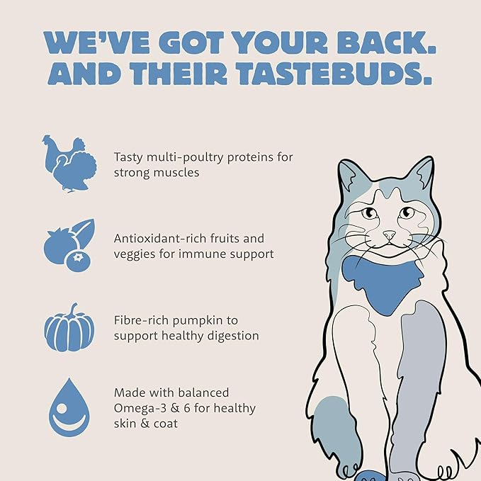 Summit Range Rotisserie Chicken Meal + Turkey Meal Dry Cat Food, Affordable, Healthy Kibble for Adults & Seniors, Multi-Animal Protein for Picky Eaters, Pumpkin for Sensitive Stomachs, 12 lb Bag