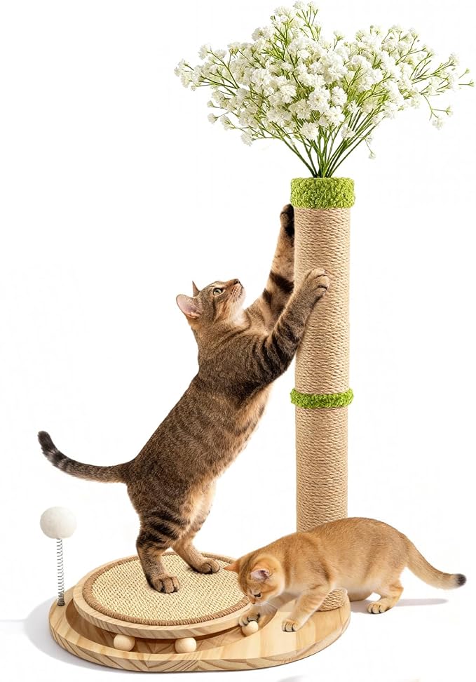 Cute Babys Breath Flower Cat Scratching Post, 39" Tall Cat Tree, Interactive Cat Toys with Ball Track & Spring Ball, Cat Scratcher with Pad for Indoor Cats Adults and Kittens
