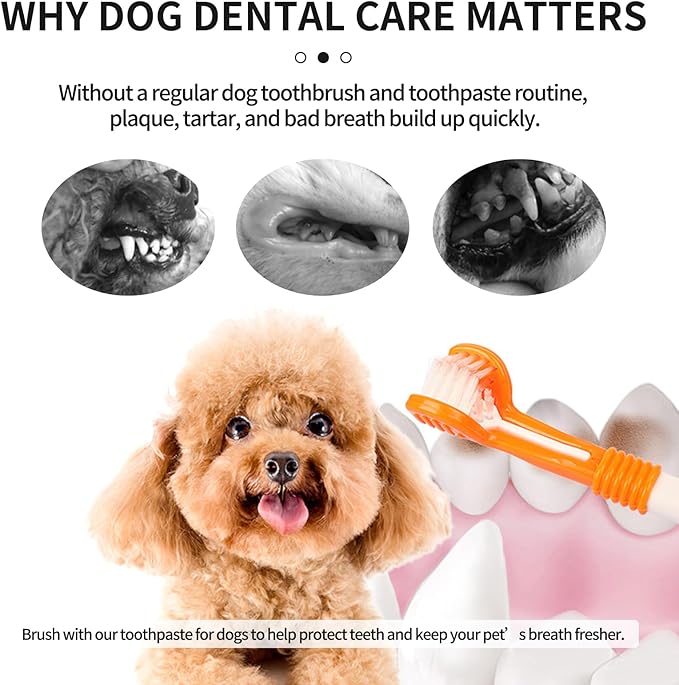 Dog & Cat Toothpaste Kit with Toothbrush & Finger Brush – 100g Vanilla Flavor Pet Toothpaste – Helps Reduce Plaque, Freshen Breath & Support Healthy Gums – Puppy & Adult Pet Dental Care