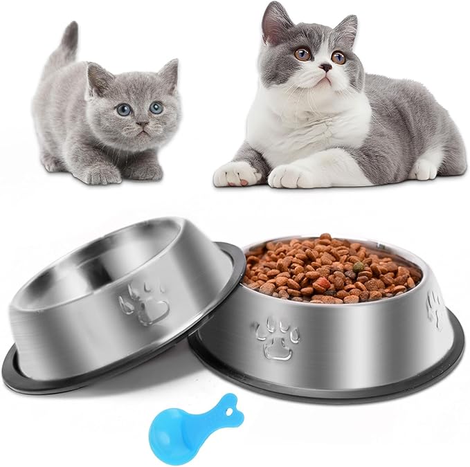 Stainless Steel Cat Bowl, 2 Pack Metal Dog Bowls for Food and Water, Non-Slip Pet Feeding Dish Bowl with Rubber Base for Indoor Cats Small Dogs