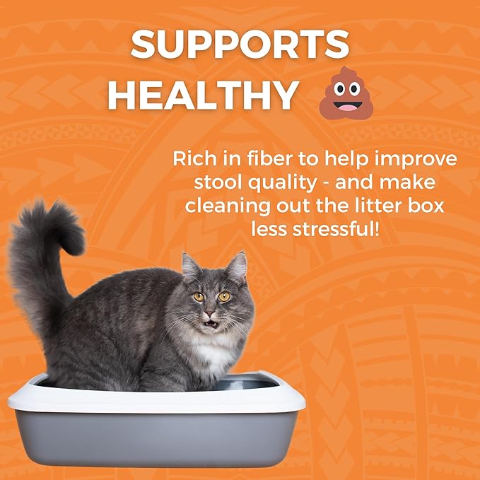 KOHA Limited Ingredient Bland Diet for Cats, Chicken and White Rice Sensitive Stomach Wet Cat Food, Sold in Over 5,000 Vet Clinics & Pet Stores, Gentle Easy to Digest Bland Diet Cat Food, 2.8oz 24Pack