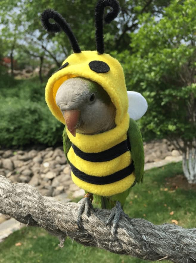 Bird Costume Diaper Flight Suit Bee Shape Hoodie Clothes Cosplay Photo Prop for Parrots Parakeet Cockatiel Sun Conure, Small Animals Apparel (Bee Without Diaper, Large), Green (BPF1)