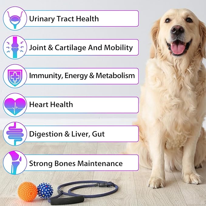 Dog Vitamins and Supplements, Dog Vitamin Liquid for Hip and Joint, Skin Coat, Skin Health, Gut Health, Heart Health, 15 in 1 Multivitamin for Dogs All Breeds and Ages, Dogs Herb Supplement (60ml)