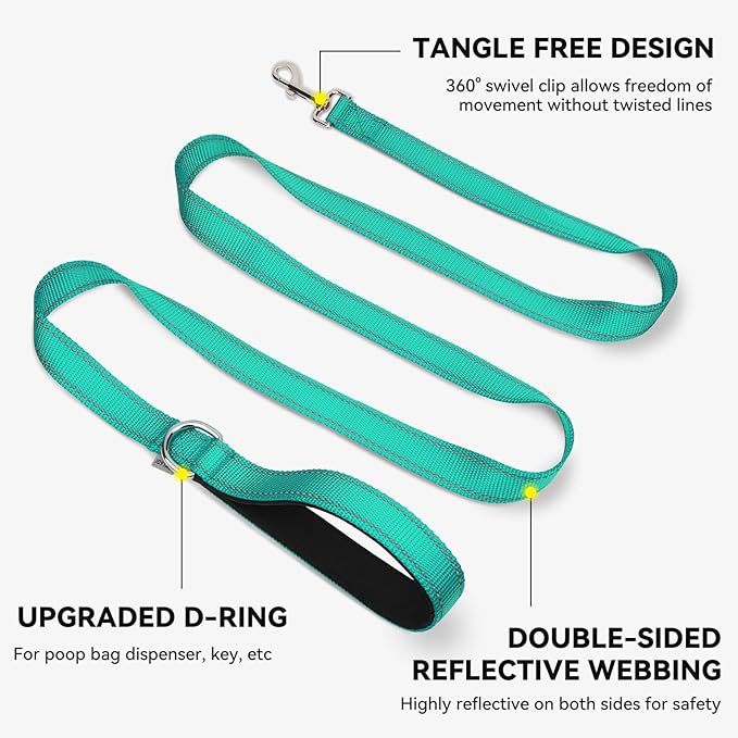 Joytale Dog Leash, 6 FT Double-Sided Reflective, Padded Handle Nylon Heavy Duty Leashes for Small Dogs Walking, Teal