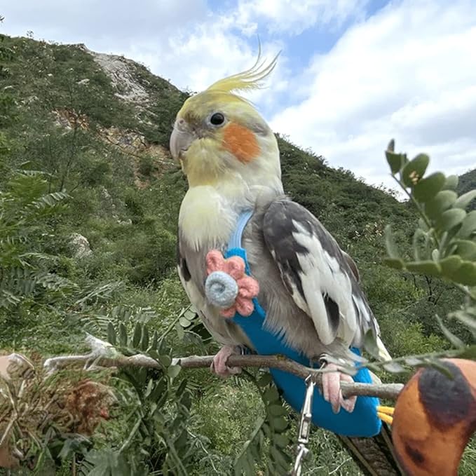 Bird Diaper Harness Flight Suit Clothes with Flying Leash for Parrots Cockatiel Pet Birds, Parrot Clothes, Bird Training Nappy Suit Liners Clothes (Medium,Blue)