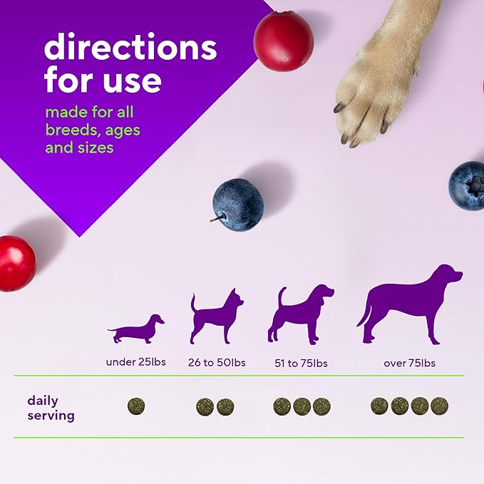 VitaFusion Probiotics for Dogs, Gut & Digestive Health Support with Colostrum & Quercetin, Immune & Seasonal Allergy Support, Superfood Vitality Blend, Beef Flavor120 Soft Chews.